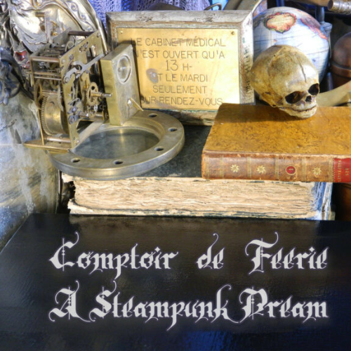 Lire la suite à propos de l’article COMPTOIR DE FEERIE